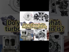 Μονός-Τουρμπίνα